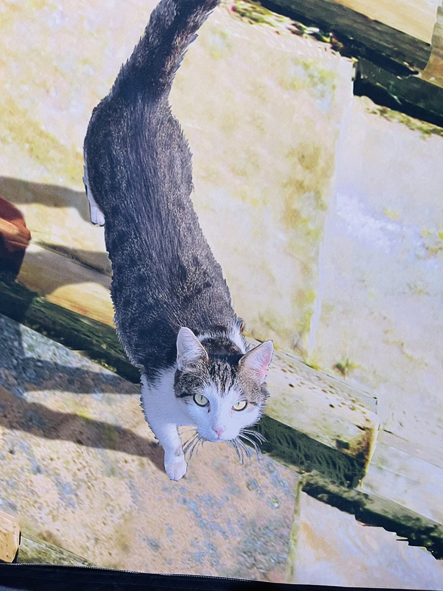 unalcem's tweet image. Hayalgücünü realiteye dönüştürebilen insanlara hayranım. 4.denememde de Pergamonmuseum’a girememiş olsam da Yadegar Asisi’nin Bergama’ya adeta yeniden hayat verdiği Pergamon-Panaroma beni adeta dönemin bergamasına ışınladı. Ayrıntılara hayran olmamak elde değil.