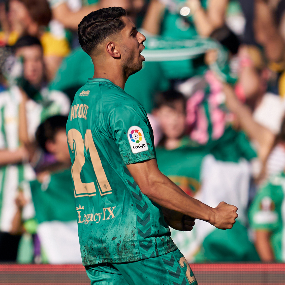 Real Betis Balompié 🌴💚 tweet media