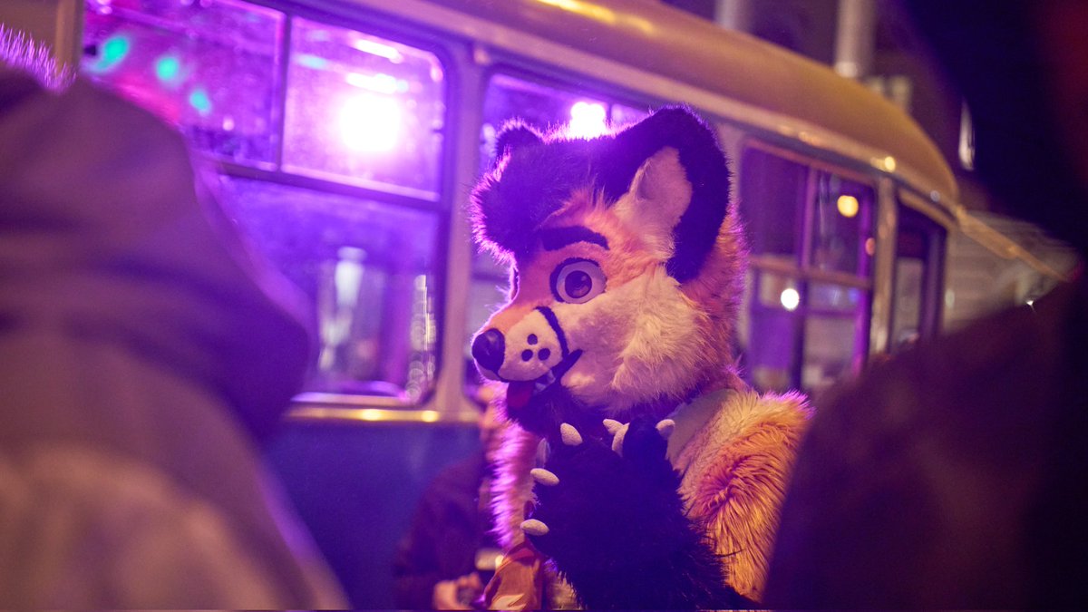 Qiubacz's tweet photo. Memories from TramParty organised by Juice and @dovahronir.
Photos: Pluri

And @wasder26, the racoonl.
1/2
#tramwaj #tram #memories #imprezowytramwaj #tramwajimprezowy #partytram #tramparty #wroclaw #furry #furryfandom #party #smiles #fun #fox #lis #animals https://t.co/GEEwu7cfcX