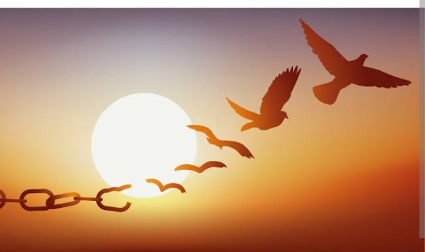 Elbet bir gün, bütün çiçekler beyaz açar.
Hür ve mesut bir şarkı halinde
Penceremizden uzanır nur.
İstediğimiz şekilde doğar gün. 
🌼🌼🌼🌼🌼🌼🌼🌼🌼🌼🌼🌼
Yaşar Kemal ✒