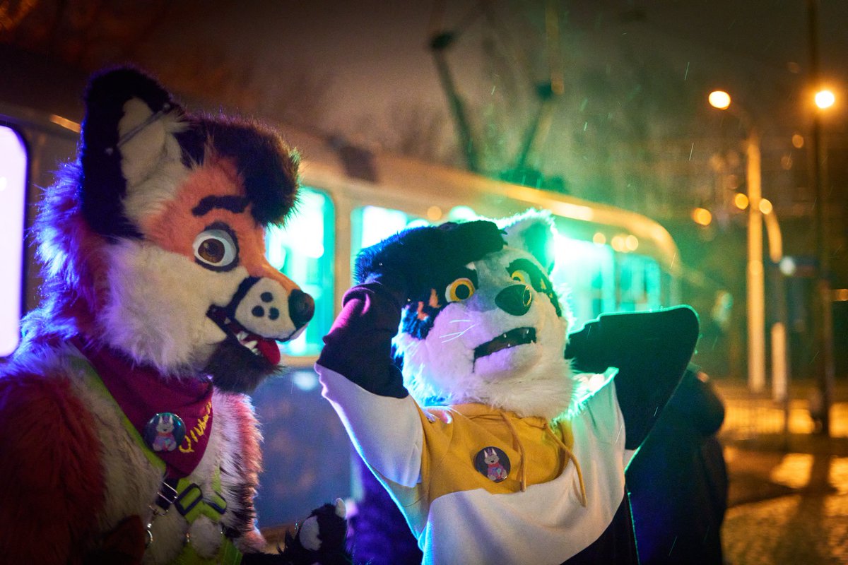 Qiubacz's tweet photo. Memories from TramParty organised by Juice and @dovahronir.
Photos: Pluri

And @wasder26, the racoonl.
1/2
#tramwaj #tram #memories #imprezowytramwaj #tramwajimprezowy #partytram #tramparty #wroclaw #furry #furryfandom #party #smiles #fun #fox #lis #animals https://t.co/GEEwu7cfcX