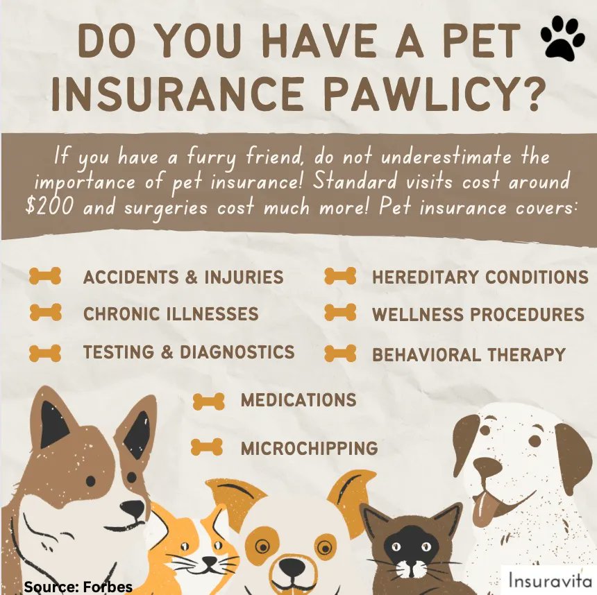 Insuravita's tweet photo. Pets add so much joy to our lives! Of course, it does take a lot of time, dedication, love, and money to take care of them properly. Pet insurance is essential to help us deal with those costs. If you don't have pert insurance yet, there's no time like the present! #petinsurance https://t.co/ED44Q4FnI5