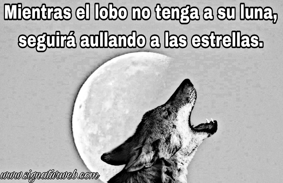 Os esperamos en la Sierra!!!

Disfruta, aprende, transmite y comparte. Signatur te lo pone fácil!!!

Información y reservas en signaturmad@gmail.com

🐾🐺🐺🐺🐾

#Signatur #signaturweb #sierradelaculebra  #educaciónambiental #formacion #lobo #LoboIbérico #verlobosenlibertad #wolf