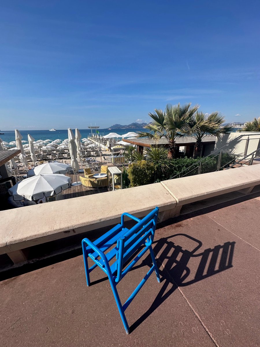 Mariska Kesteloo tweet media