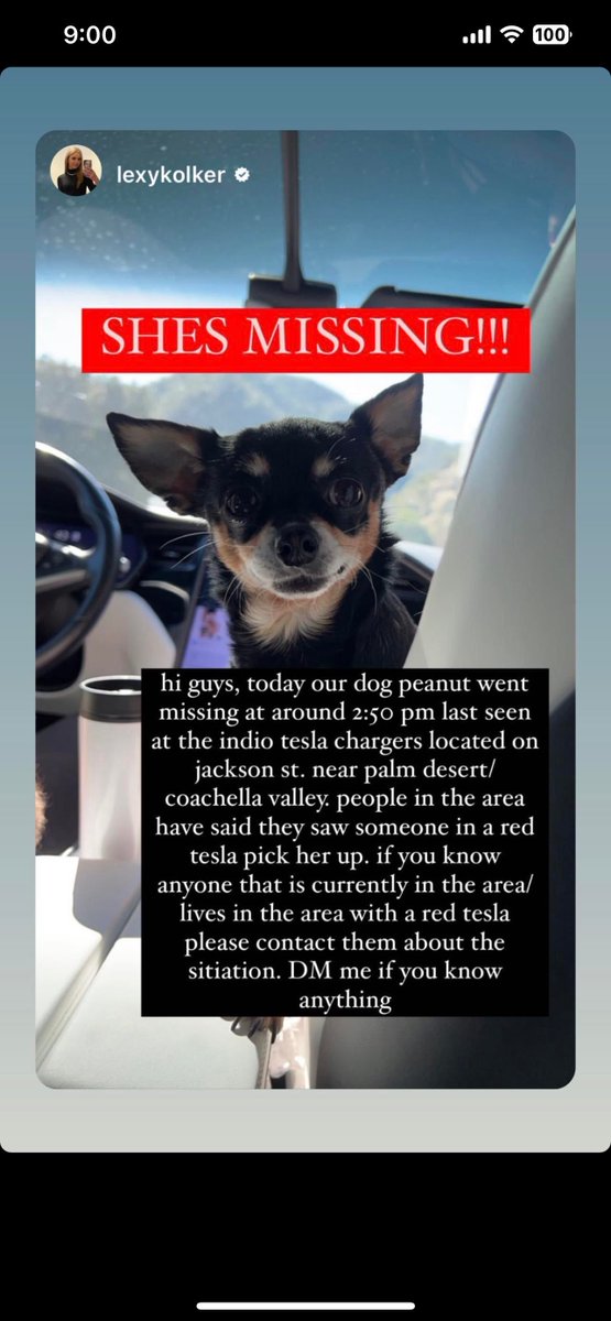 ATTENTION PLEASE RT @RealAvaKolker dog Peanut is missing! She's a Chihuahua. Last seen at the Tesla's chargers in Indio CA. Possibly picked up by someone in a red Tesla! She could be anywhere in the Indio, Coachella Valley, or Palm Dessert area. Tweet us if u have any info