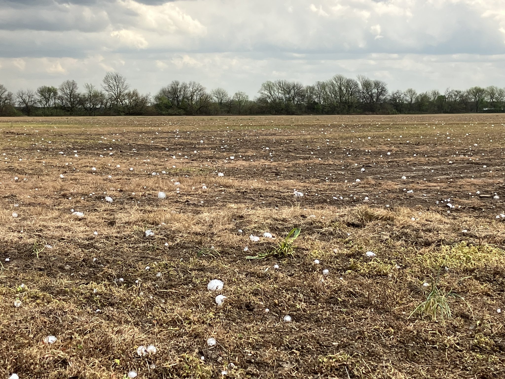 Michael Seger on Twitter "Monster hail 5 miles southwest of Arcola, MO