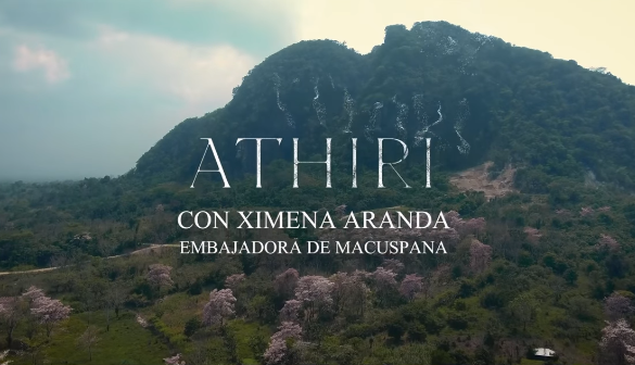 TabascoHOY's tweet photo. #Show✨| #Athiri, un cortometraje ambientado en la cultura maya, que es protagonizado por la representante de #Macuspana, Erika Ximena Ramírez Aranda y producido por Khayri Rovirosa.
https://t.co/Z9UVbloDni
