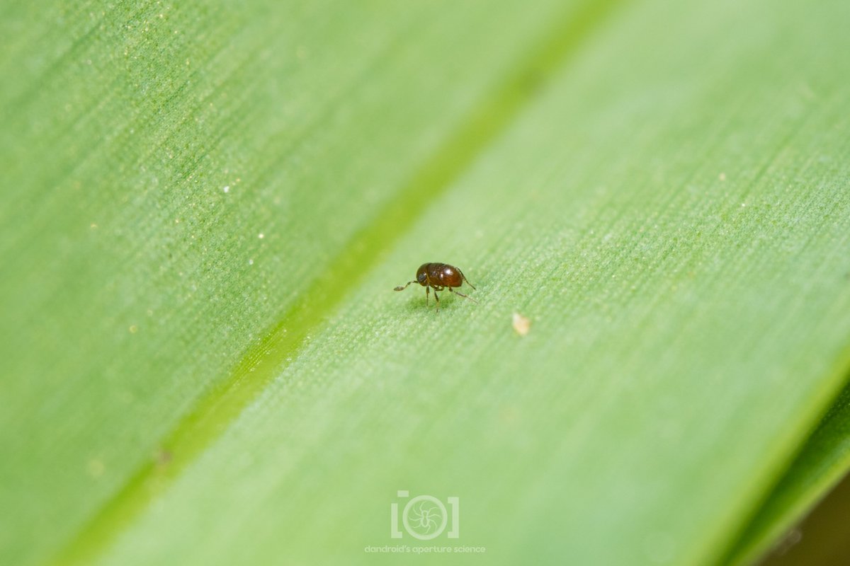 Dandroid's Aperture Science 💛🤍💜🖤🕷️🐜 on Twitter: 