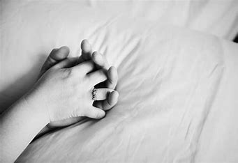 𝙕𝙚𝙡 tweet media