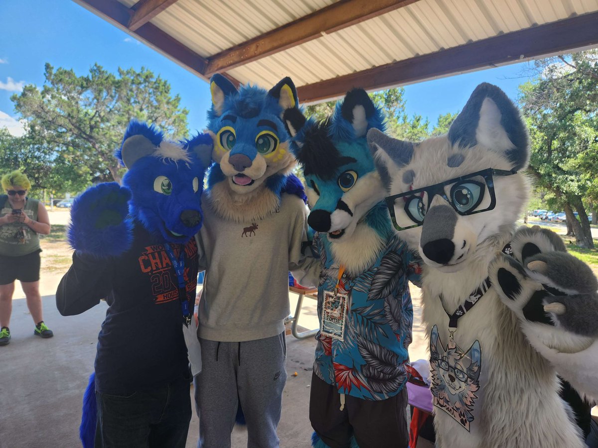 ApolloBlueWolf's tweet photo. I had so much fun at Austin Park Bark today! :3 https://t.co/ygXHYoednI