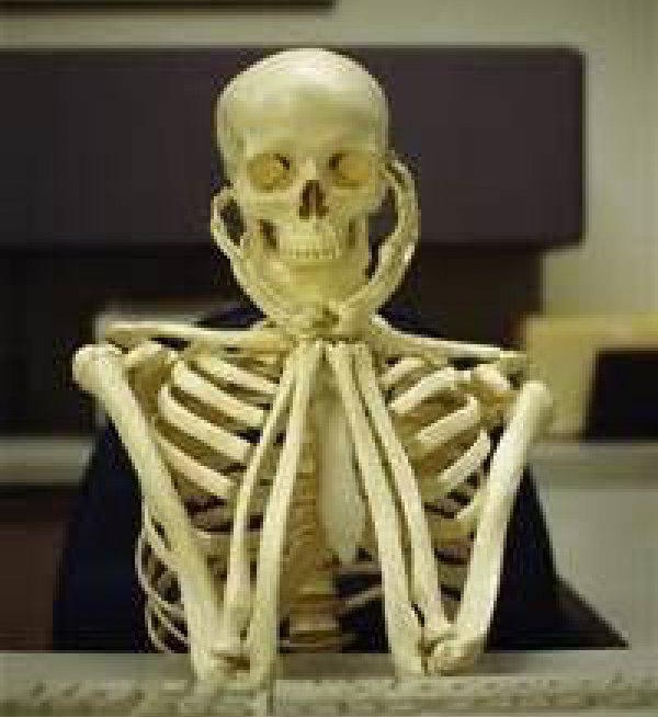 martavsilva10_f's tweet photo. Eu esperando a transmissão da dazn voltar ao normal 🤡: https://t.co/5Re6msoXgP