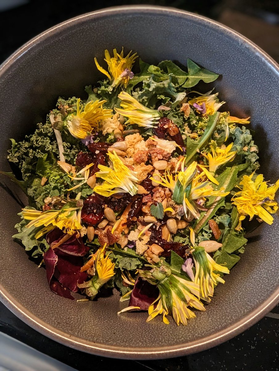 Friendly reminder to grab a bunch of shit from your yard and eat it! Here's some dandelion flowers and greens, henbit, deadnettle, and garlic mustard blooms tossed into my bagged salad. It was fresh, peppery, and delicious 🤤