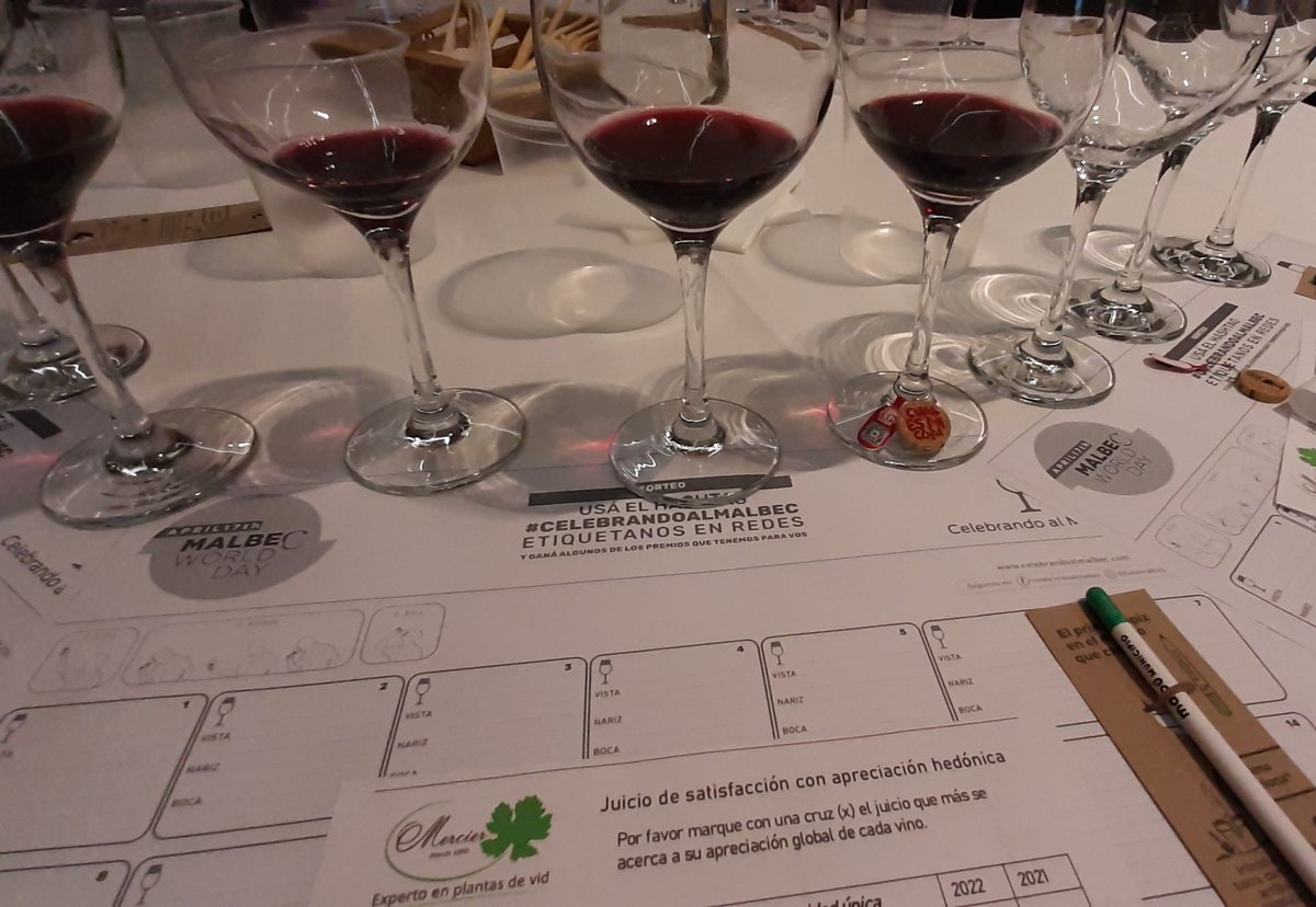 CelebraMalbec's tweet photo. A disfrutar #CelebrandoAlMalbec 🍷🍷 https://t.co/PP8OXMj17x