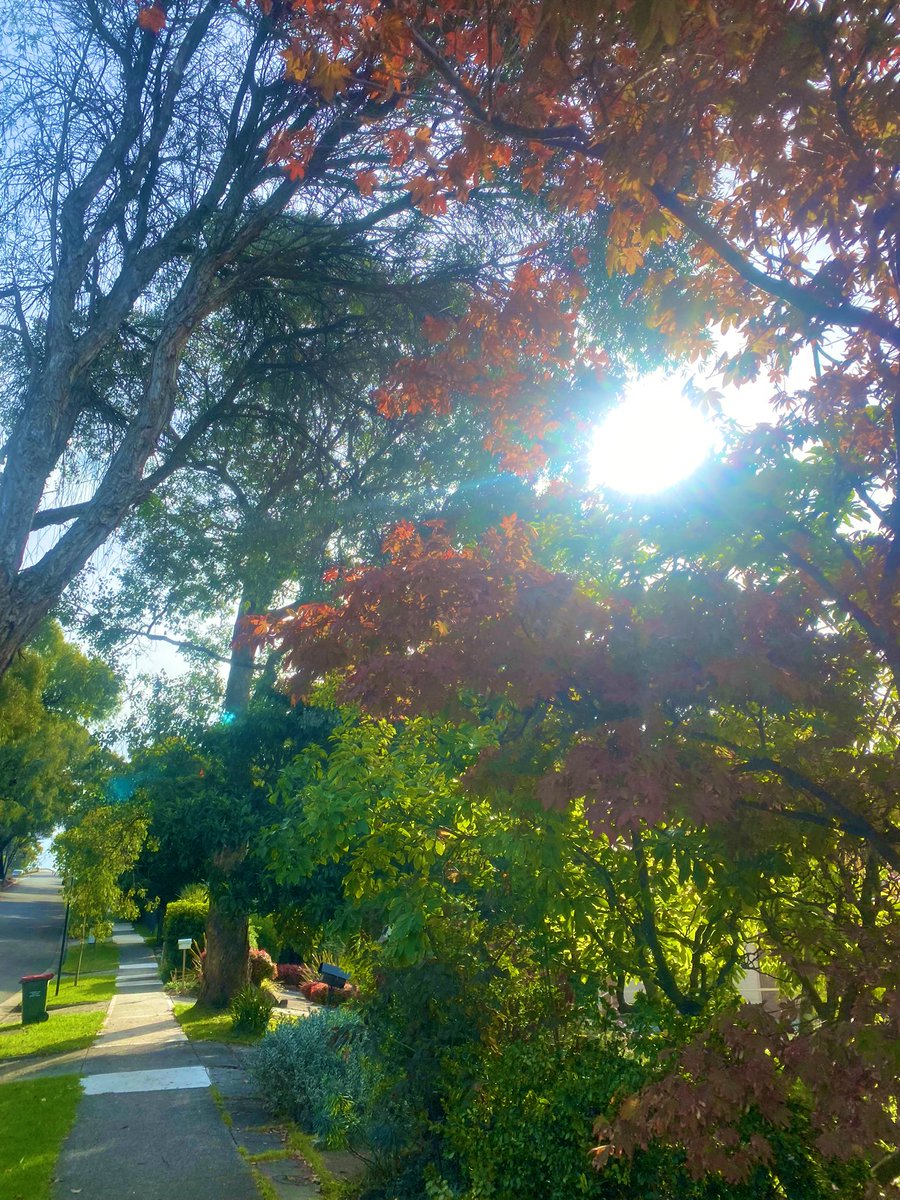 prodbyrision's tweet photo. Memories β¨ππΌ #thanksgod #beautifulexistence #spiritualgrowth https://t.co/i9wwCFXQEX