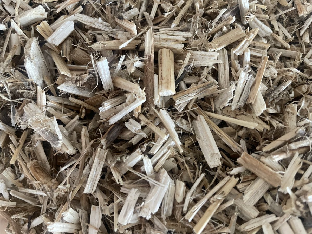 plainjanehempco's tweet photo. @Walmart  @WalmartAction @Walmarttech @WalmartWorld 

You can lead the industry, making the world a greener place 🌎🤍💫

Use a closing Chicago location for distribution? 

#hempcrete #chickenlitter #animalbedding #garden #compost #cleansoil #reducecarbonfp https://t.co/2z0cVp4KY7