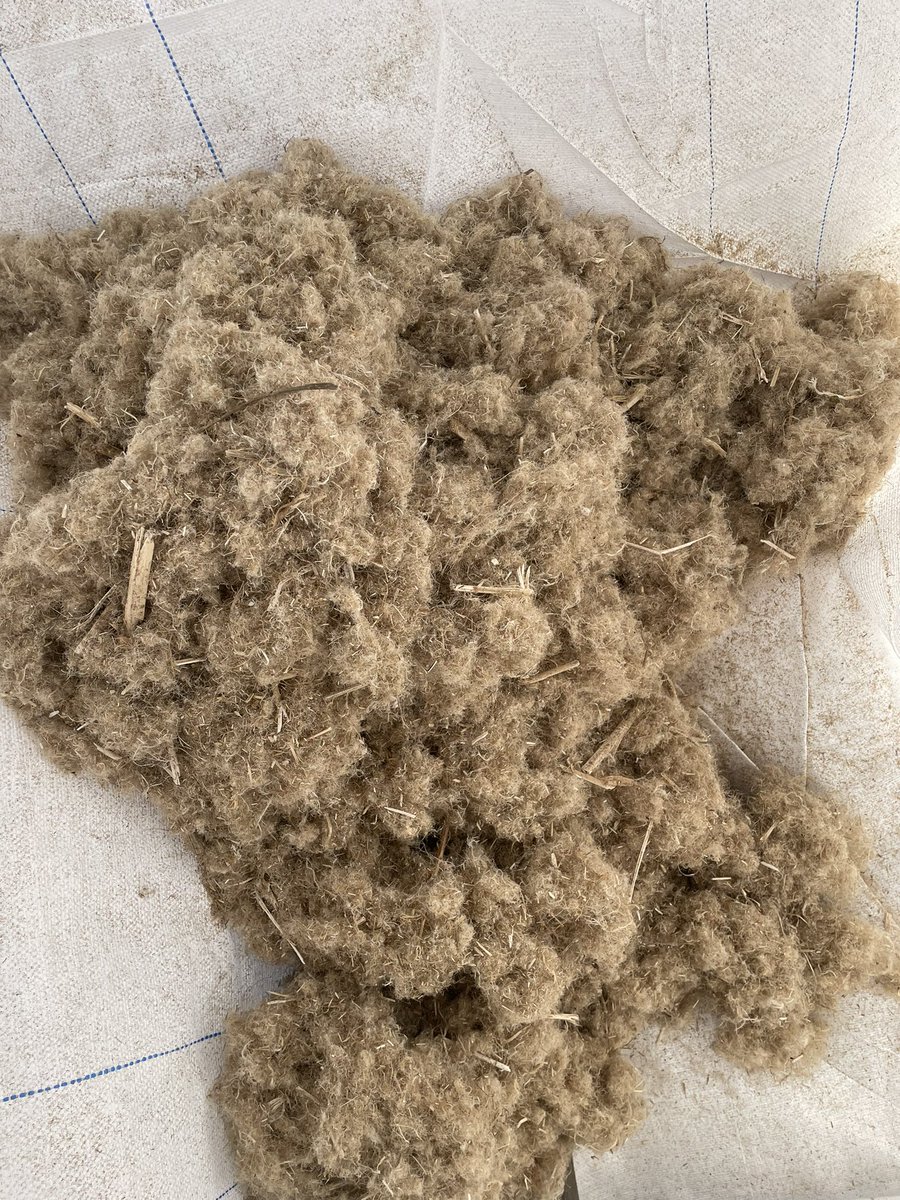 plainjanehempco's tweet photo. @Walmart  @WalmartAction @Walmarttech @WalmartWorld 

You can lead the industry, making the world a greener place 🌎🤍💫

Use a closing Chicago location for distribution? 

#hempcrete #chickenlitter #animalbedding #garden #compost #cleansoil #reducecarbonfp https://t.co/2z0cVp4KY7