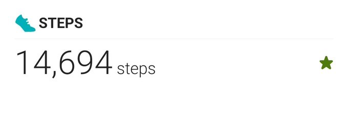 One is a basic step counter. Another is a fitbit. And then a smart watch https://t.co/YvHfOJqtoI