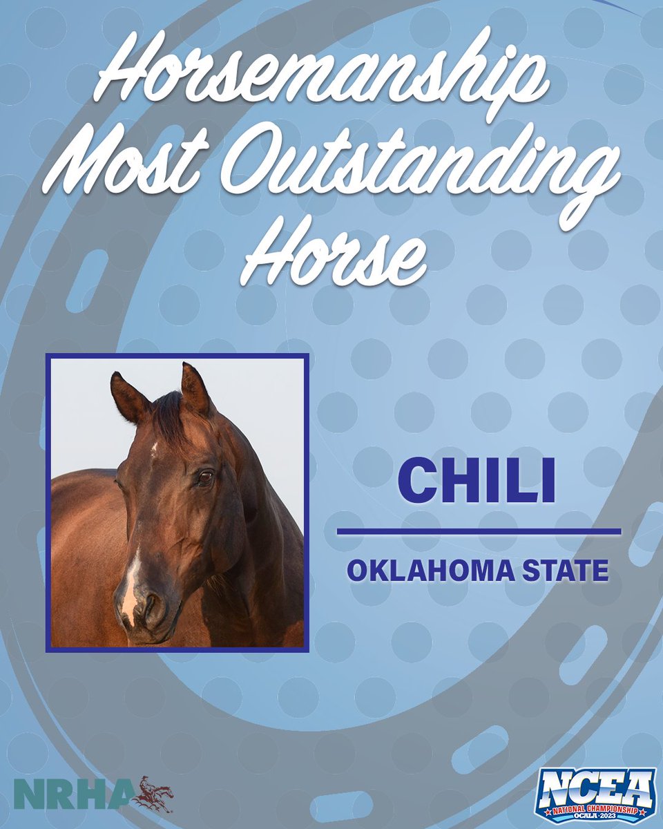 NCEA_Equestrian's tweet photo. 𝕄𝕠𝕤𝕥 𝕆𝕦𝕥𝕤𝕥𝕒𝕟𝕕𝕚𝕟𝕘 ℍ𝕠𝕣𝕤𝕖𝕤

#NCAAEquestrian | #Nationals2023🏆 https://t.co/P5XgtNv4XE
