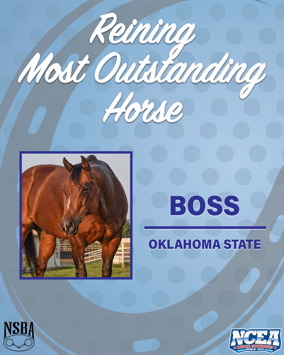 NCEA_Equestrian's tweet photo. 𝕄𝕠𝕤𝕥 𝕆𝕦𝕥𝕤𝕥𝕒𝕟𝕕𝕚𝕟𝕘 ℍ𝕠𝕣𝕤𝕖𝕤

#NCAAEquestrian | #Nationals2023🏆 https://t.co/P5XgtNv4XE