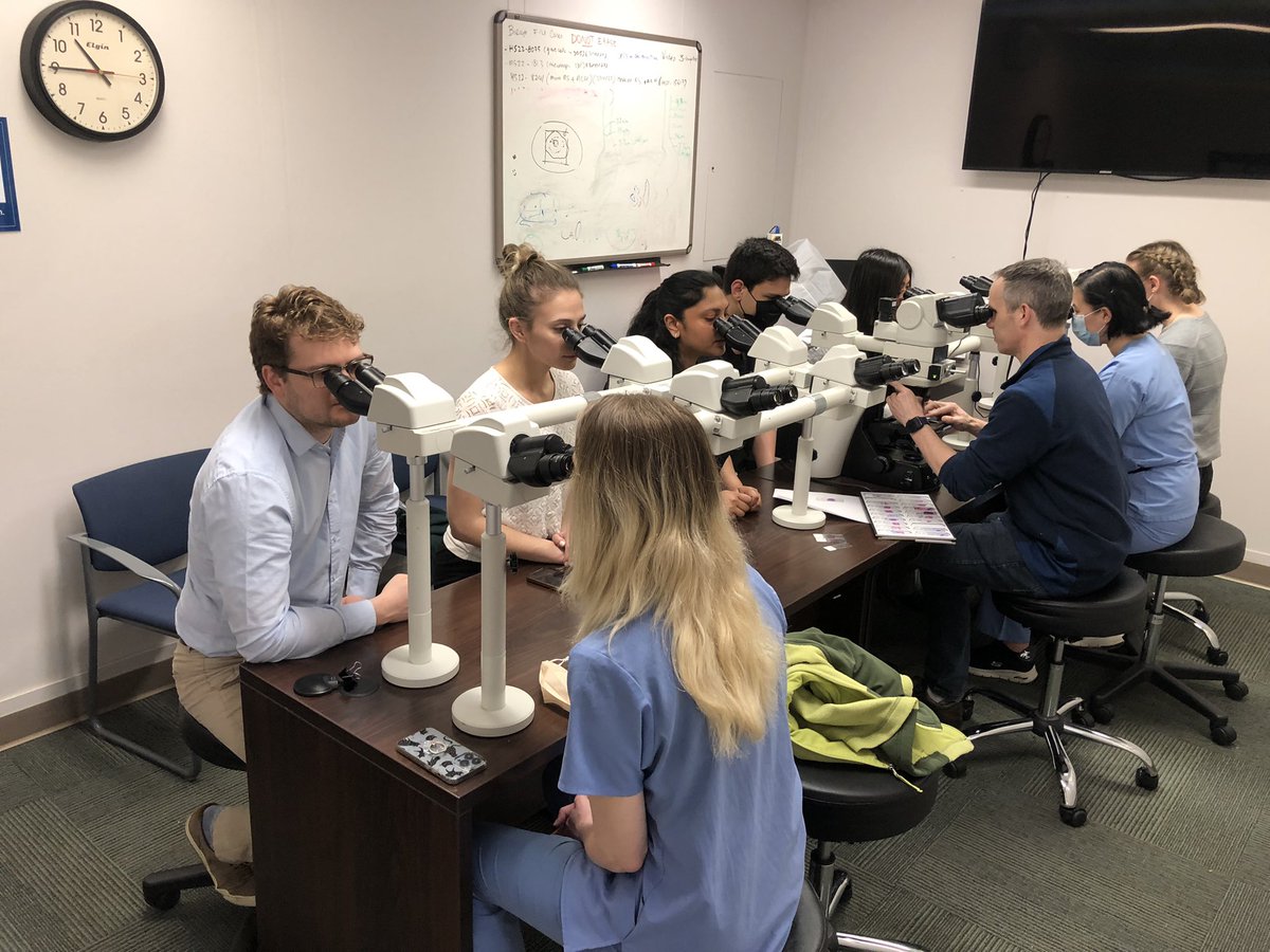 al_masraf's tweet photo. @CPathig
Another MSU Pathology Day event today. This time we also invited undergrads to learn about path. Thank you @HenryFordHealth pathologists for hosting us
Future pathologists in the making 
🧠🫁🫀👩‍⚕️👨‍⚕️ https://t.co/mQ92OUqixS