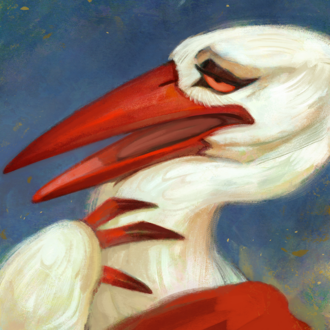 Bec-de-Gaz the stork for @OiseauBlizzard