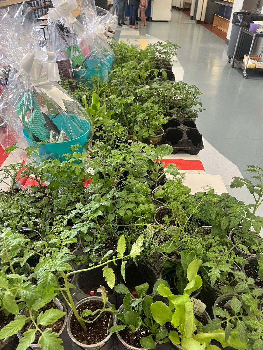 DMPrincipalGCSC's tweet image. Stop by our School Carnival tonight!