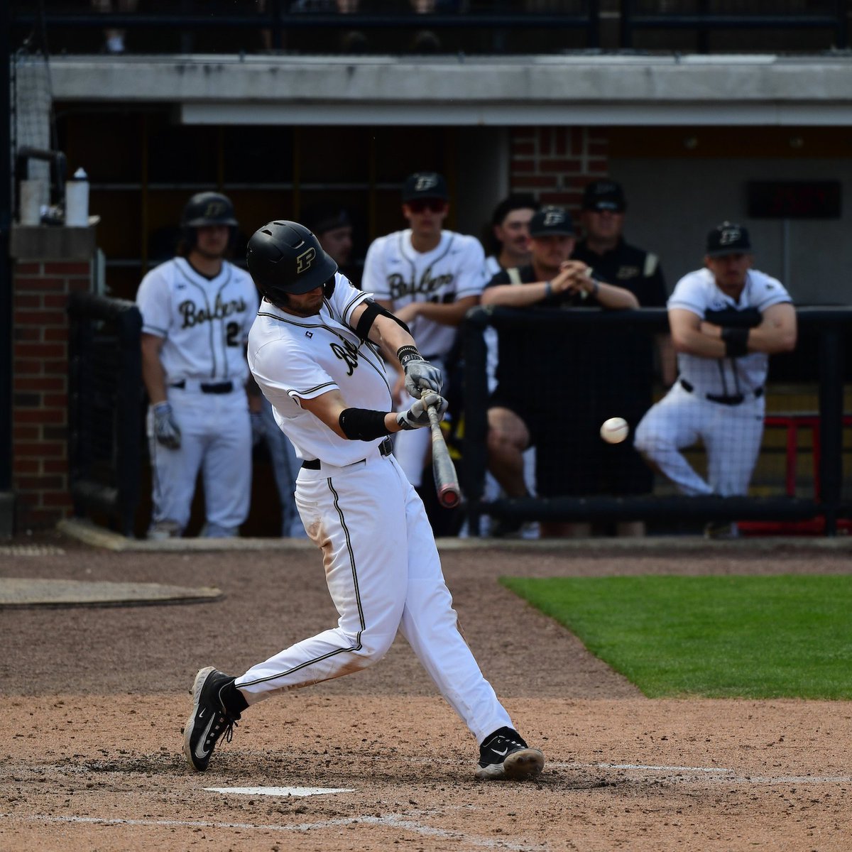 Purdue Baseball tweet media