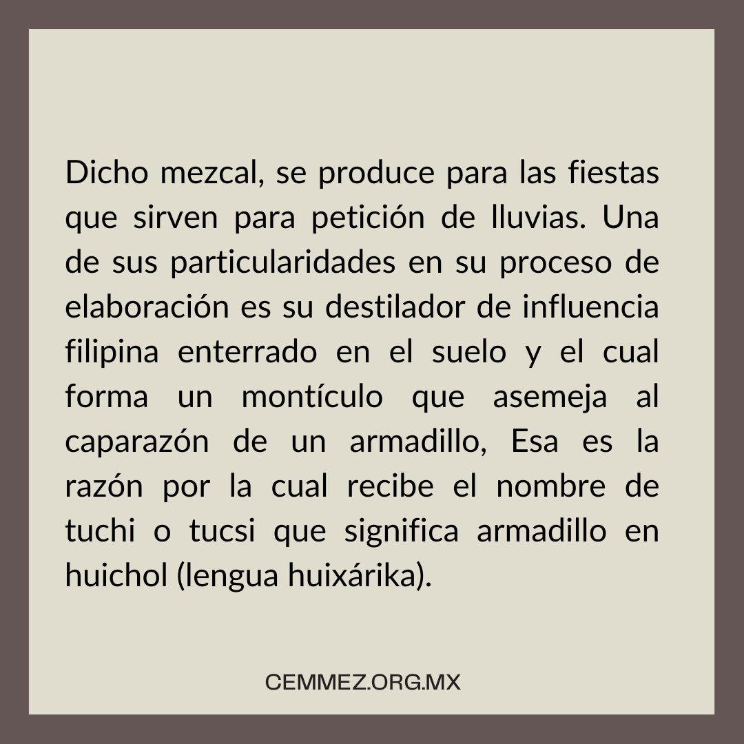 Cemmez_'s tweet photo. El tuchi o tucsi

#mezcal #maguey #agave #culturadelmezcal #destiladosmexicanos #cemmez https://t.co/IdM7YhdjaU