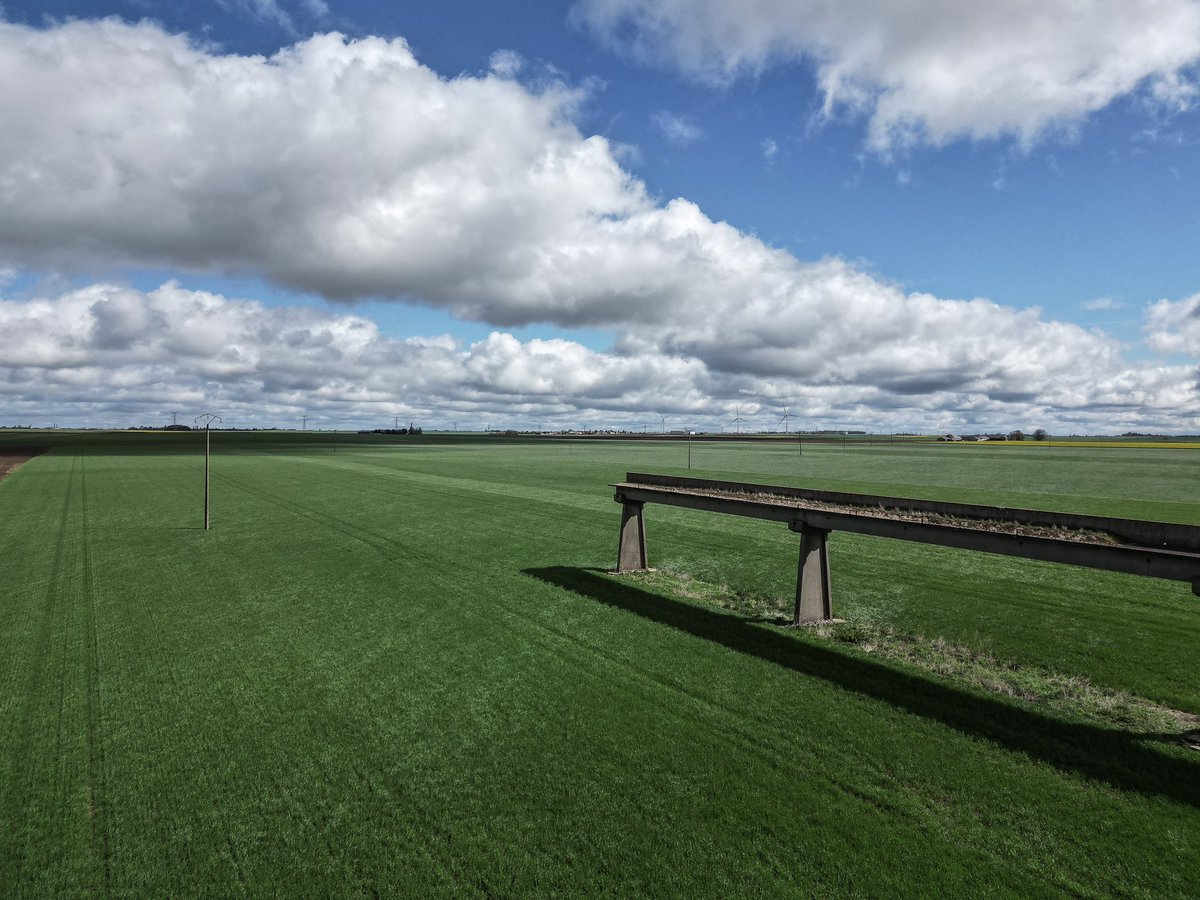 Blossier's tweet photo. La Voie d'essai de l'aérotrain d'Orléans, 18 km de béton brut au service d’une utopie géniale de l’ingénieur Jean Bertin, plantée au cœur de la Beauce depuis les années 60.
#aerotrain #jeanbertin #train #beton #concrete #brutalisme #utopie #orleans #beauce https://t.co/B3K1fXqJoc