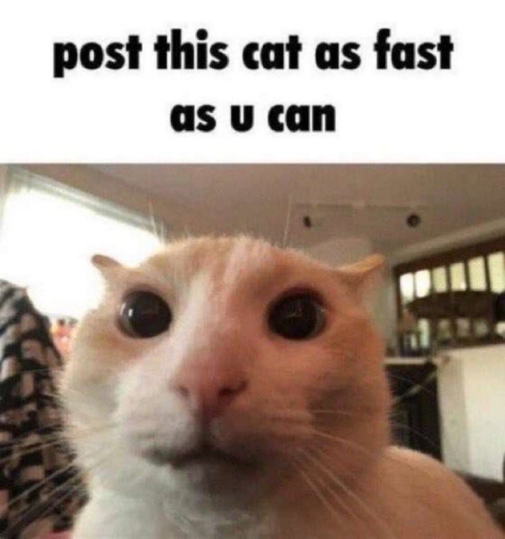 SuperLoganPaul's tweet photo. https://t.co/WRIdv2pHwE