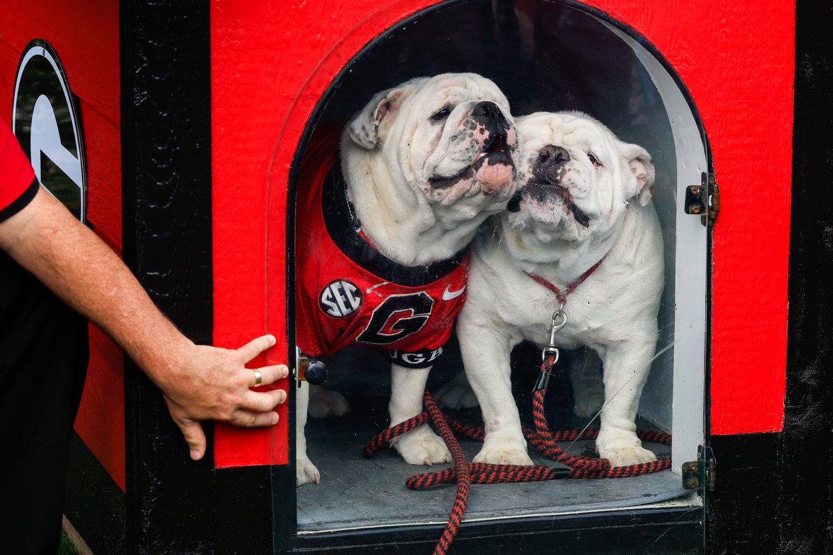 universityofga's tweet image. 🎶 let me tell you bout my best friend 🎶

#GoDawgs