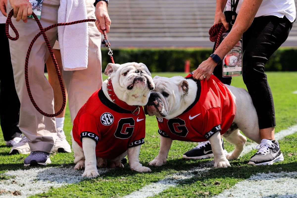 universityofga's tweet image. 🎶 let me tell you bout my best friend 🎶

#GoDawgs