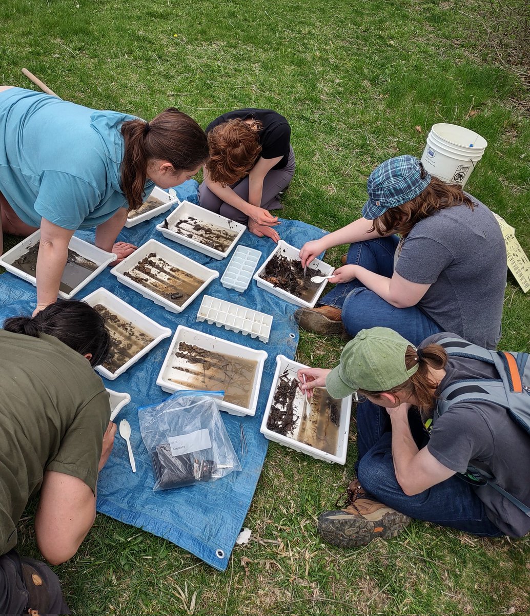 EsparraHector's tweet photo. Spring Bug Hunt, hosted by the @RougeFriends 🪲🦟🌊🌲

We had a LOT of fun today! Right @freshwaterkat? https://t.co/LmMAGedlzJ