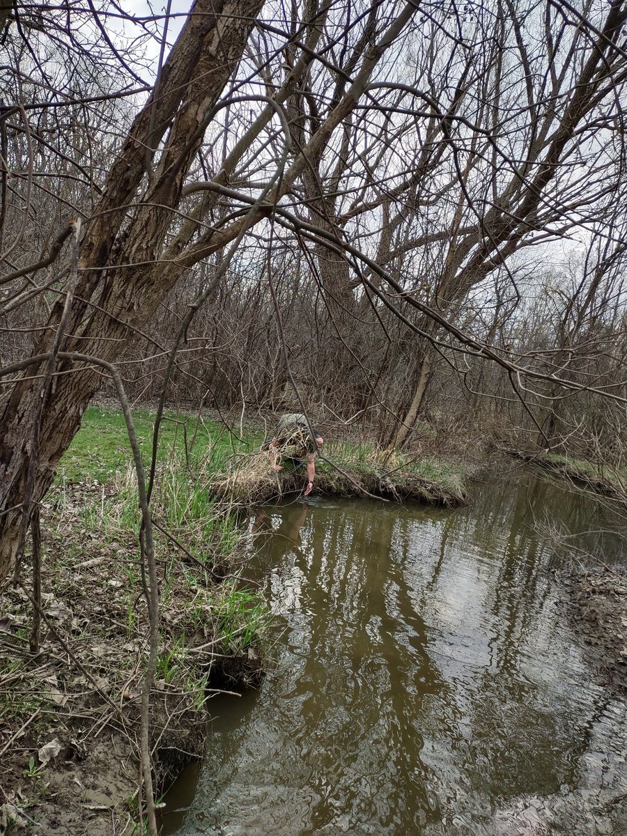 EsparraHector's tweet photo. Spring Bug Hunt, hosted by the @RougeFriends 🪲🦟🌊🌲

We had a LOT of fun today! Right @freshwaterkat? https://t.co/LmMAGedlzJ