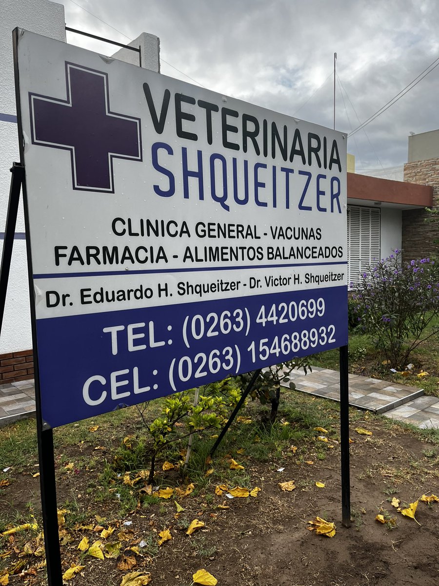 Los llevamos al veterinario de mi barrio que no sólo nos ayudo y nos dio todas las indicaciones para salvarlos sino que no nos quiso cobrar 🥹 asique públicamente le quiero agradecer y hacer publicidad para que vayan con él. Atiende en calle Lavalle esquina paso de los patos