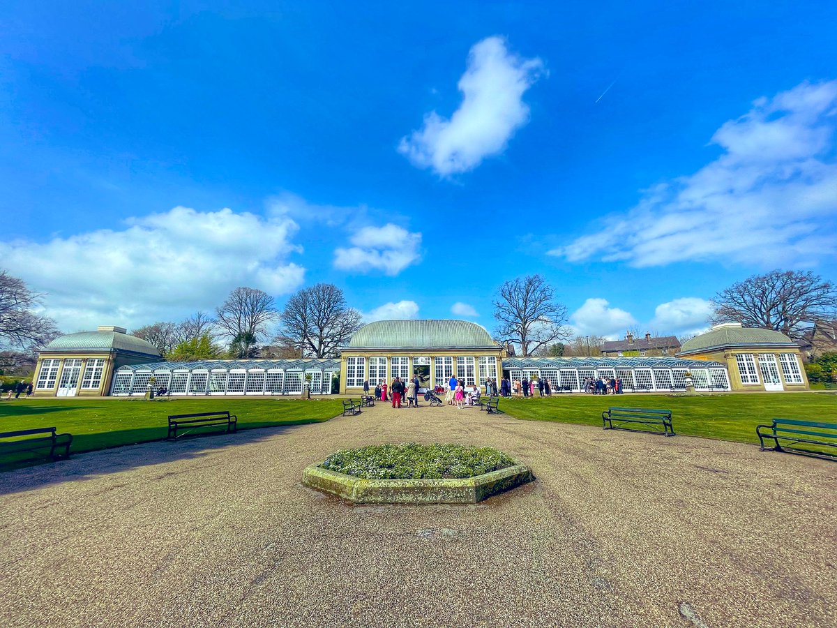 Miles with Michelle tweet media