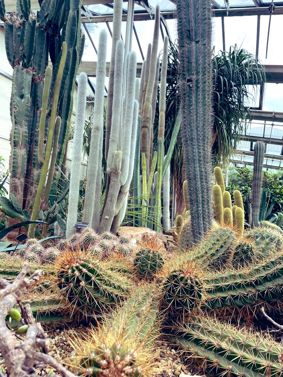 Miles with Michelle tweet media