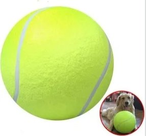 allxspass's tweet photo. @joshklingler Upgrade the nice doggo @fivebelow https://t.co/KRGuI4SzfL