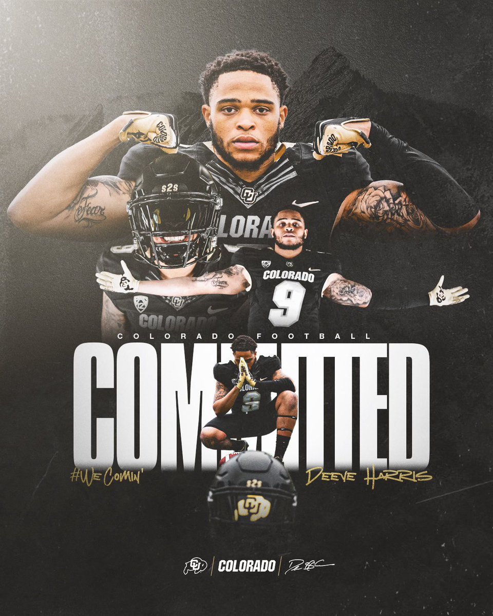 Deeve🥋 tweet media