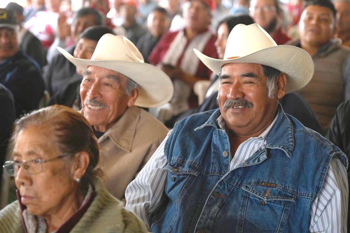 Delfina Gómez A. tweet media