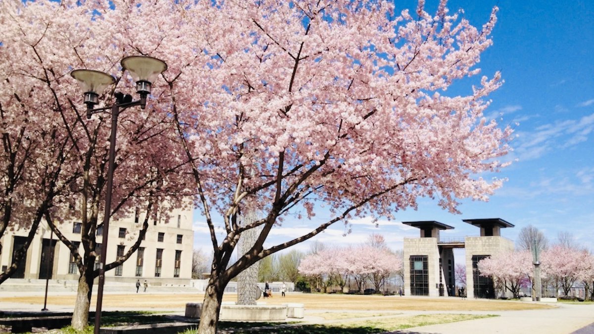 Russ Pulley tweet media