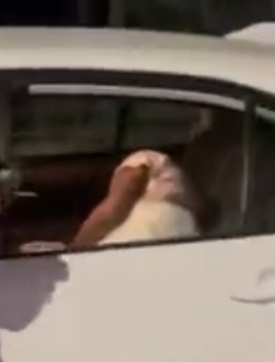 ampaveli's tweet photo. They in the car like https://t.co/BPxvN3u3x1