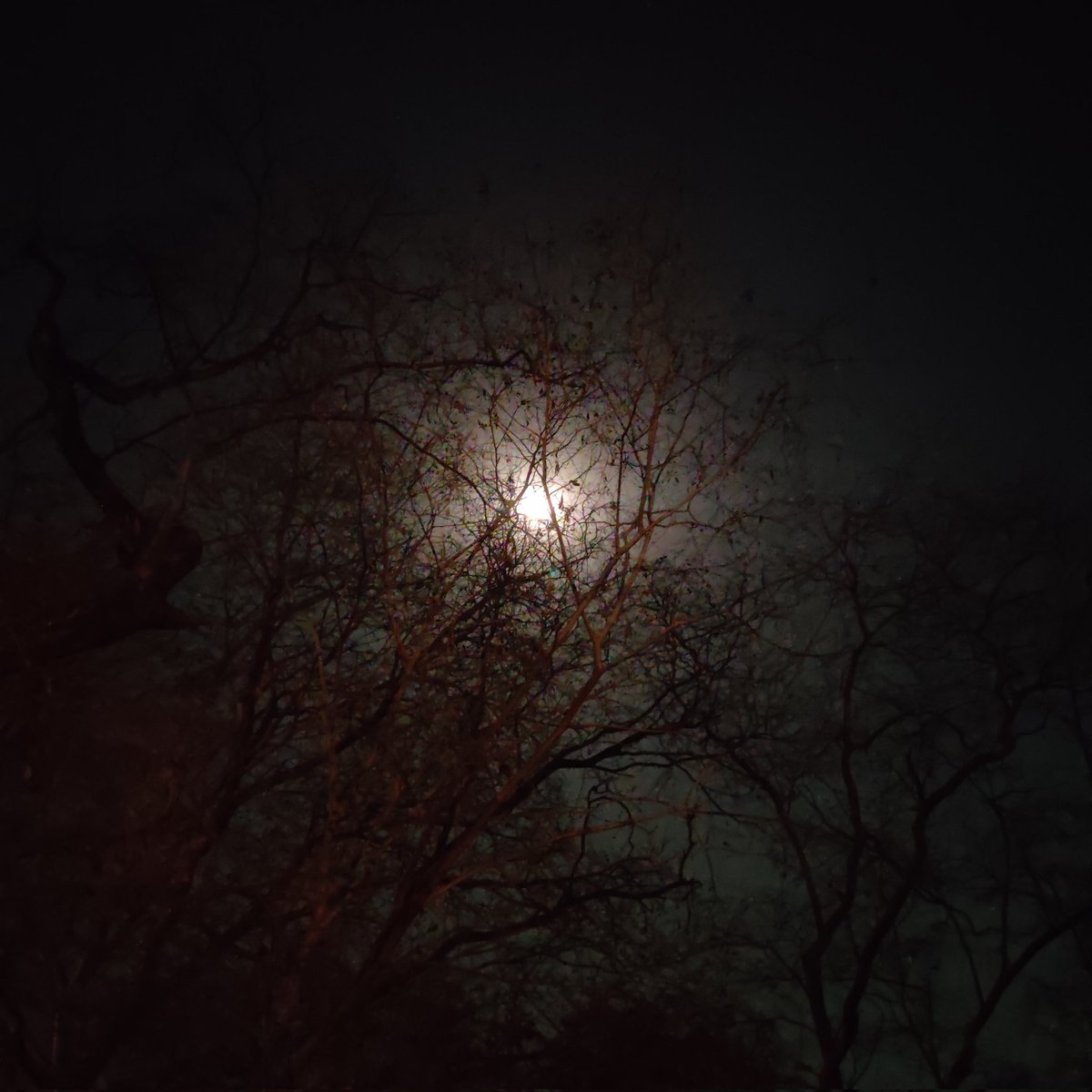 siddh_arth9's tweet image. #NewProfilePic