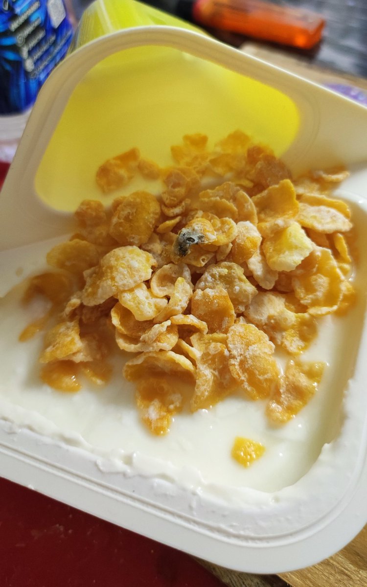 mooka_'s tweet photo. Mi hija se iba a comer un yogurth y le salió una hojuela del cereal con hongo. Que asco, poco higiénico, qué mal @ColunCl https://t.co/0ocdq3bB33