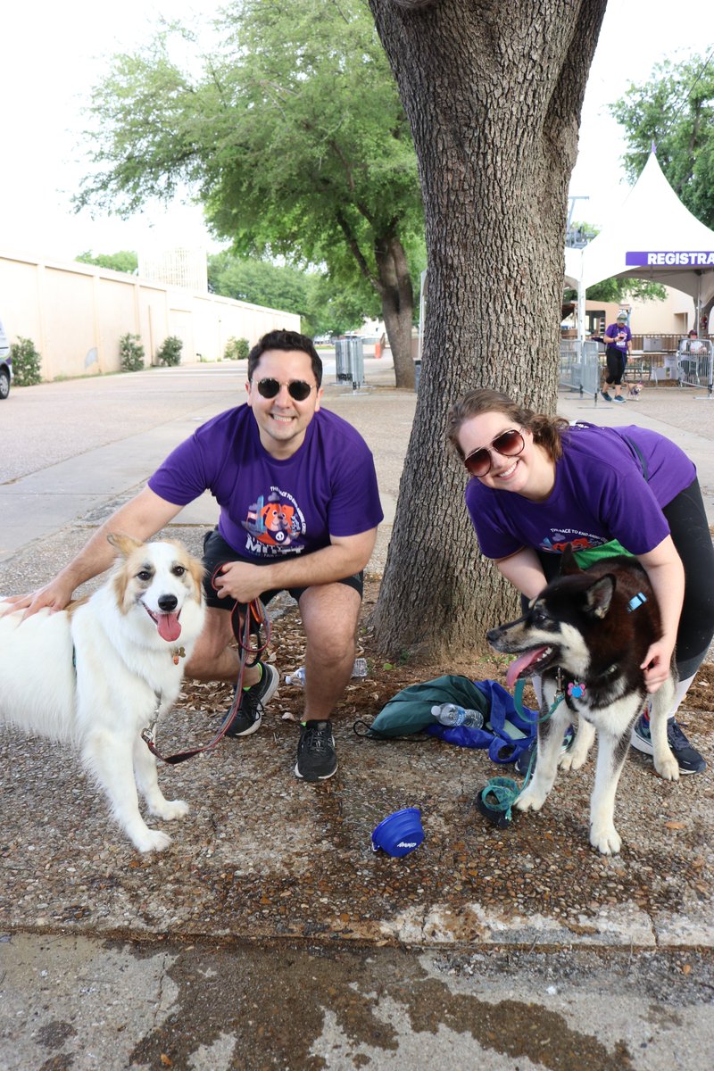 spcaoftexas's tweet photo. What an amazing day at Strut Your Mutt! Thank you again to our Presenting Pooch sponsor @VCAanimalhospitals! Thank you for a decades long partnership! More than 1,000 Strutters & Runners plus hundreds of dogs enjoyed the festivities!
#gostrut #struttyourmutt #endanimalcruelty https://t.co/2Deqg4Vt0P