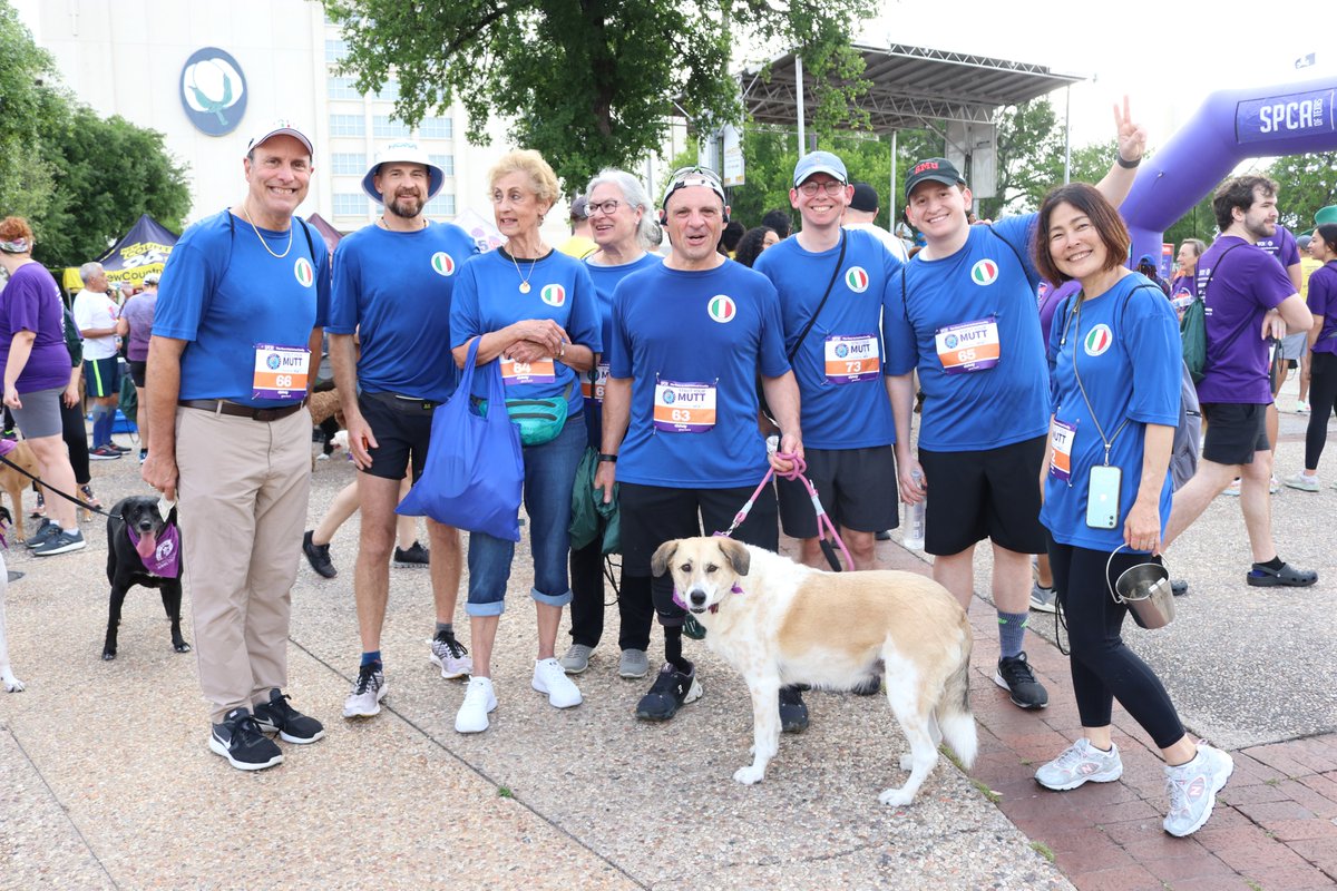 spcaoftexas's tweet photo. What an amazing day at Strut Your Mutt! Thank you again to our Presenting Pooch sponsor @VCAanimalhospitals! Thank you for a decades long partnership! More than 1,000 Strutters & Runners plus hundreds of dogs enjoyed the festivities!
#gostrut #struttyourmutt #endanimalcruelty https://t.co/2Deqg4Vt0P