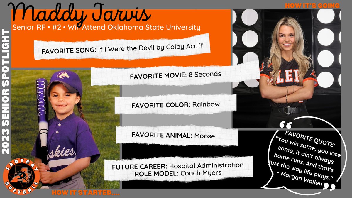 Ladycat Softball tweet media