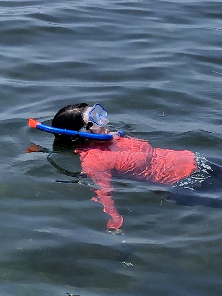 Terry Stoufer tweet media