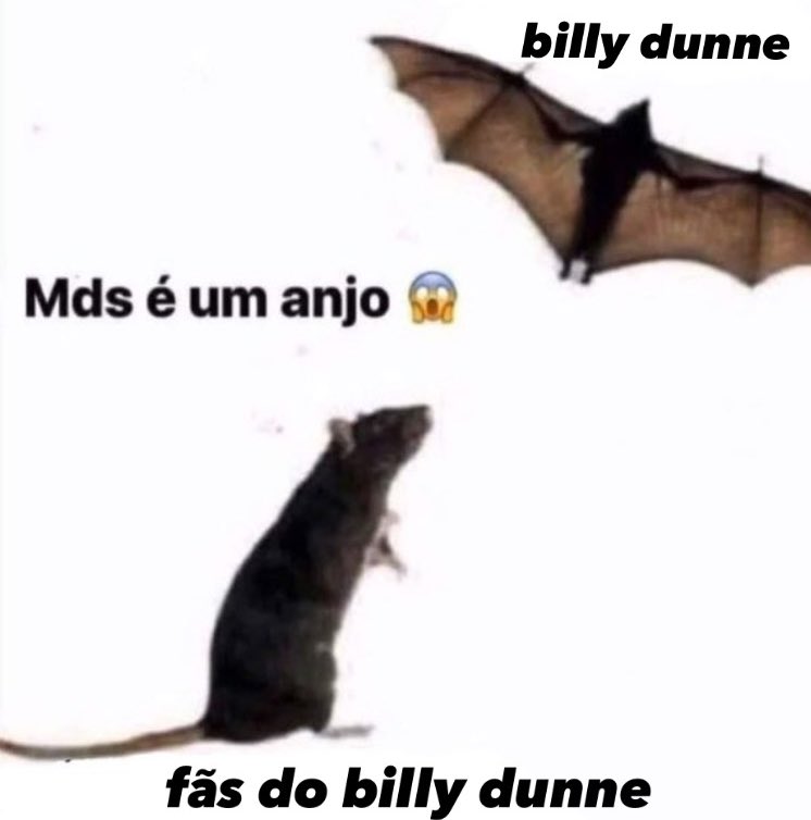 minervahghwood's tweet photo. eu amo a daisy jones e nao desejo o billy pra ela https://t.co/x7LNeyUeT3