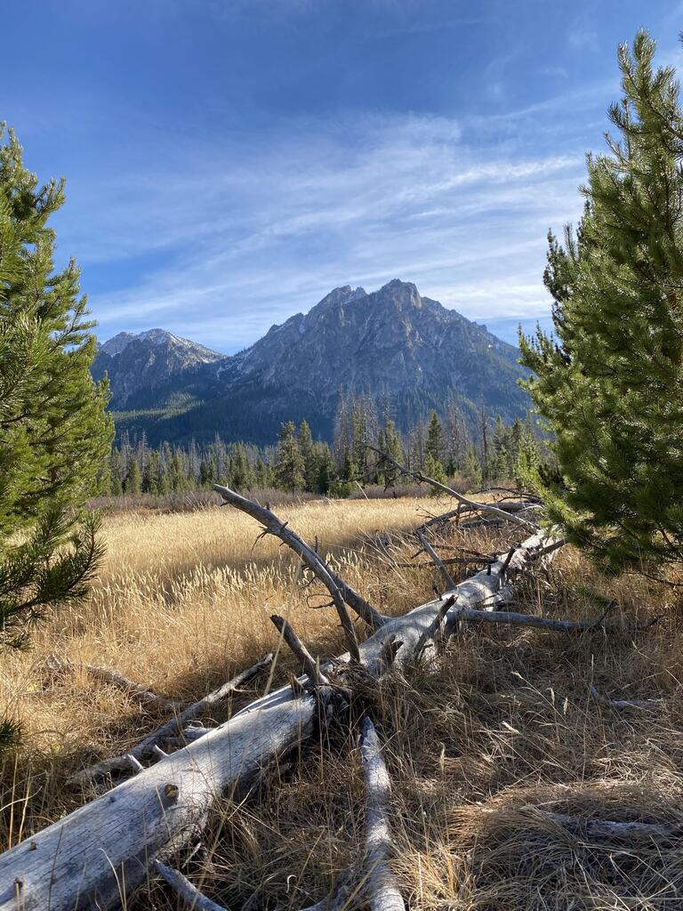 SmokinBulldozer's tweet image. #Sawtooth mountains, Idaho [4000x6000] [OC]